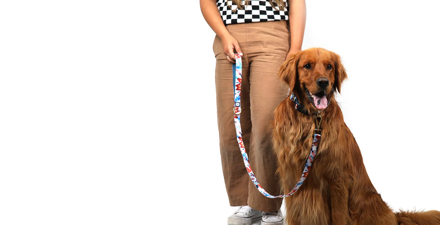 Leashes