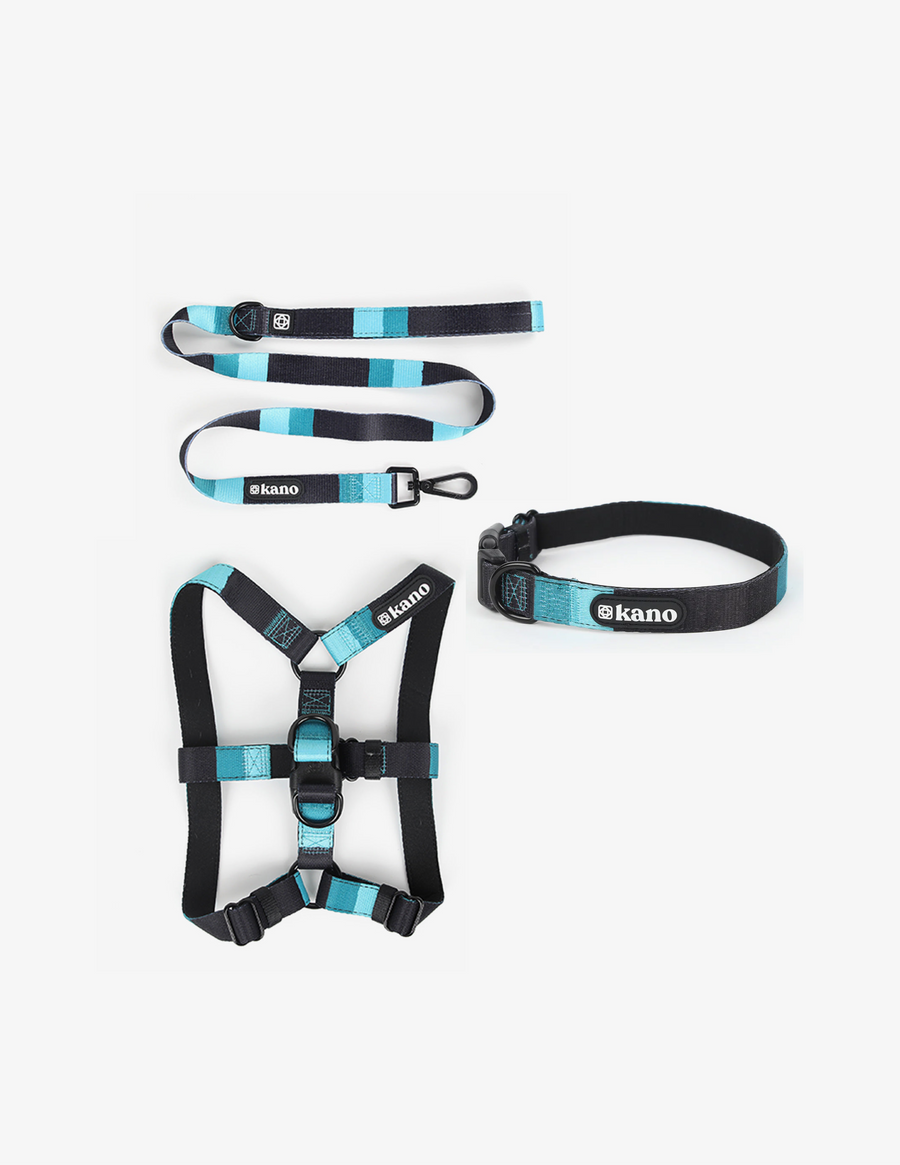 Carson Bundle
