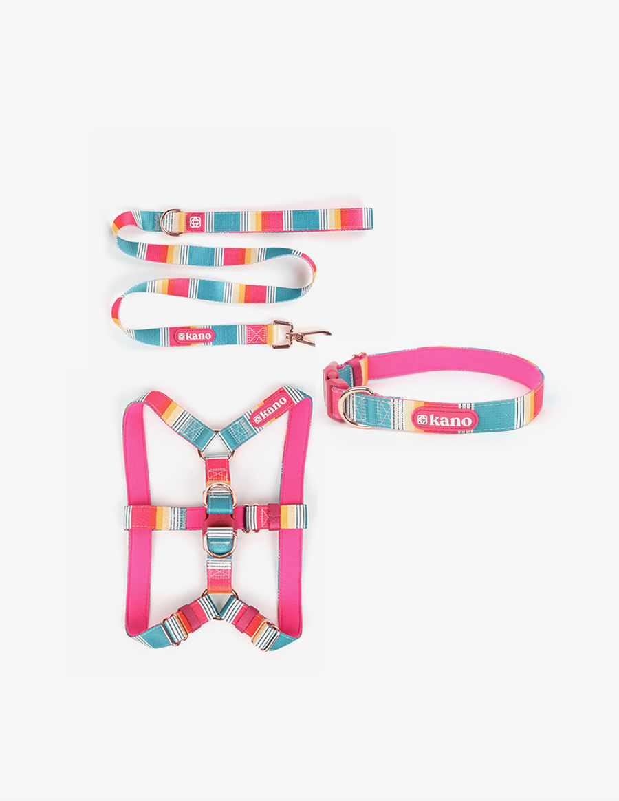 Crave Bundle