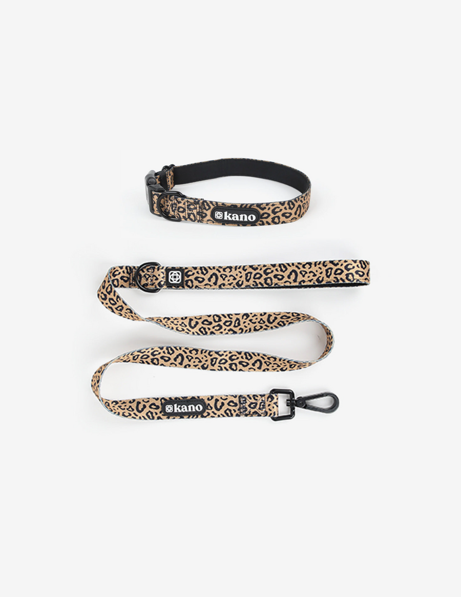 Fierce Bundle