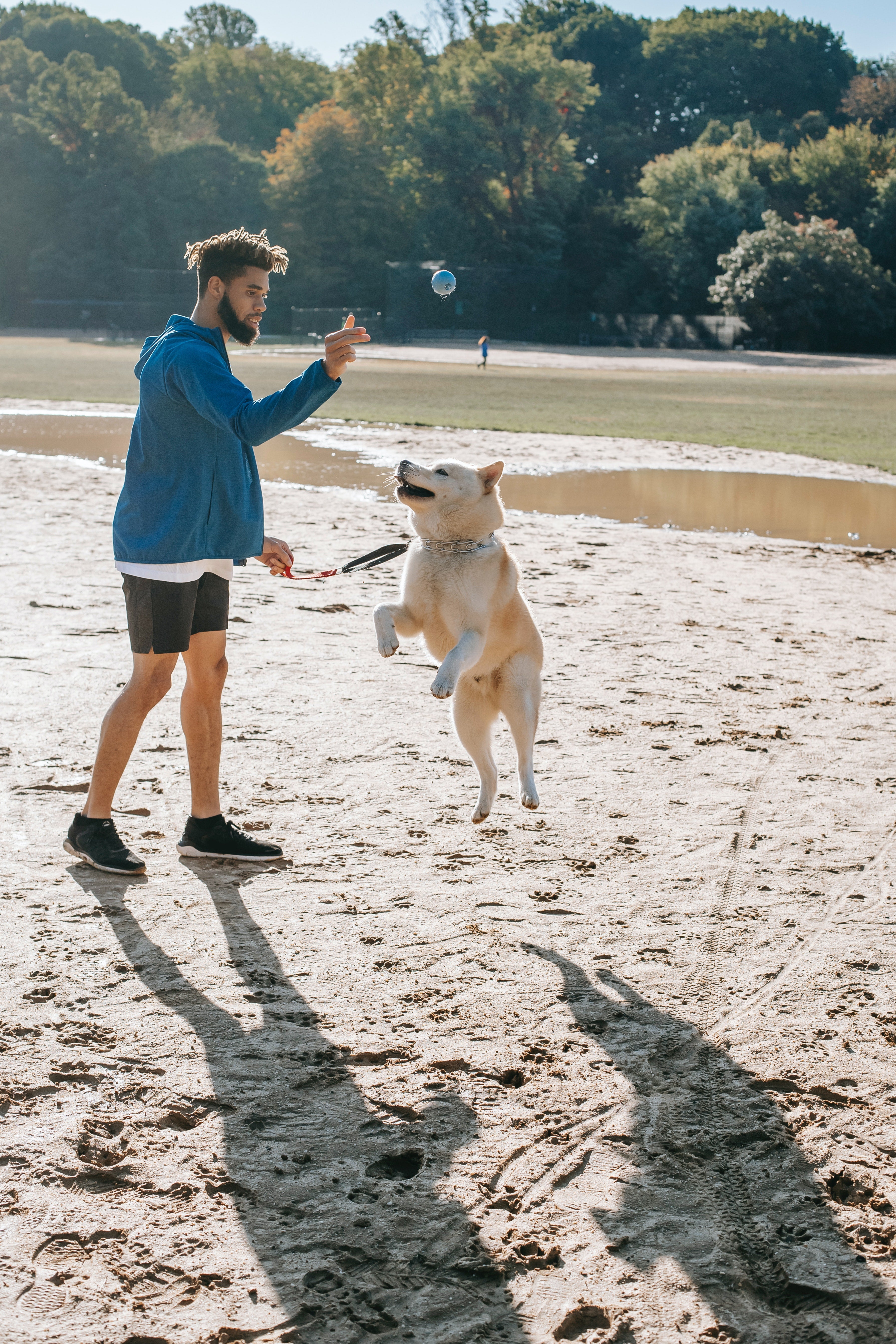 Tennis Ball